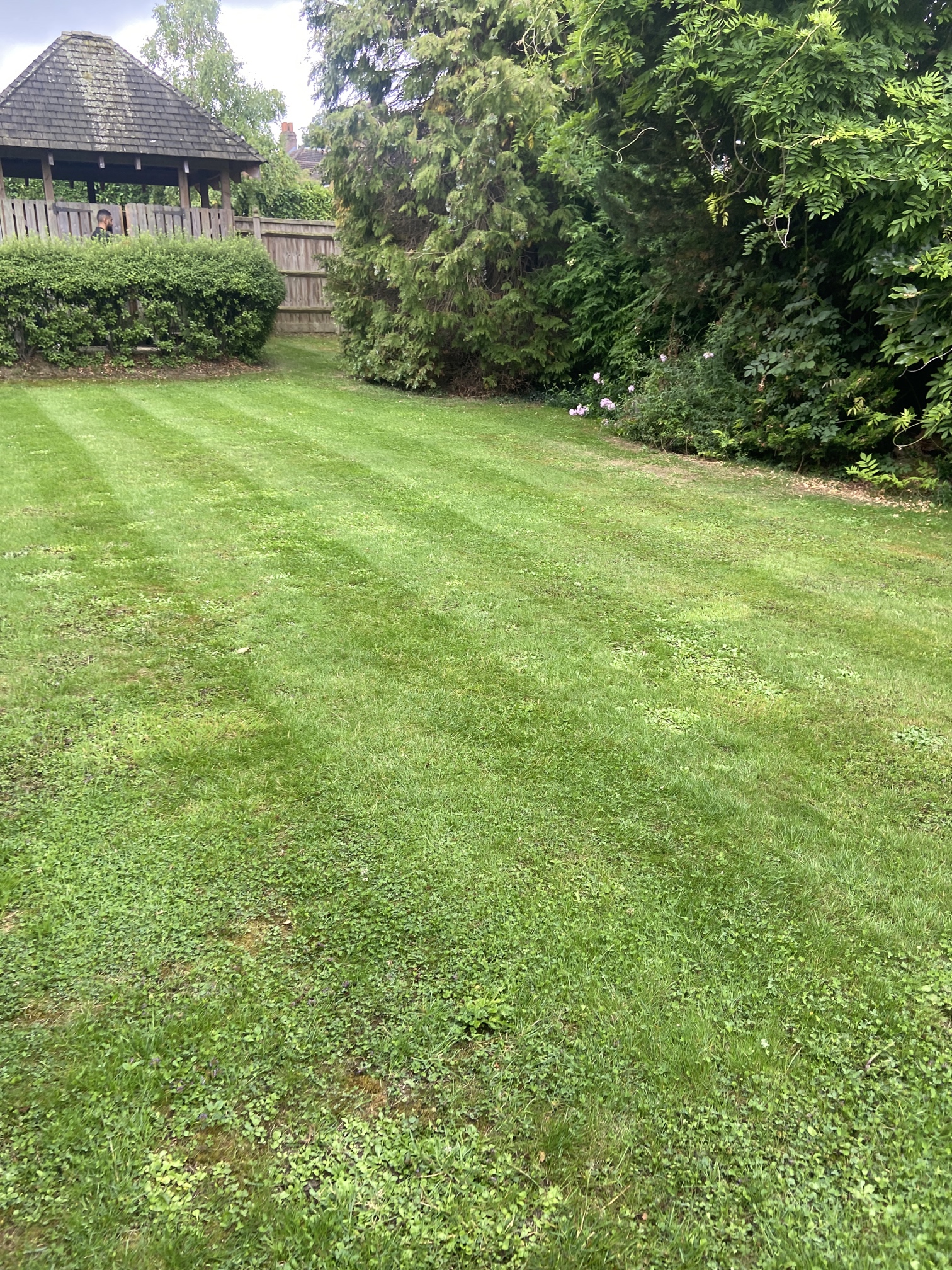 GCS FM Grounds & Landscaping