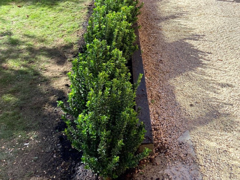 Gate End Border (after)