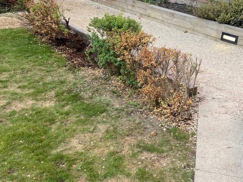 Gate End Border (before)