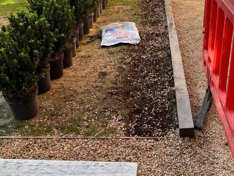 80 Green Spire set out along the prepared bed, with fresh compost ready