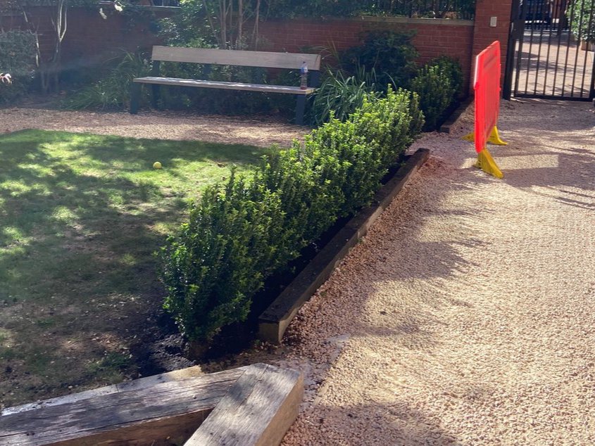 Lawn Edge: Cleared & Replanted (after)