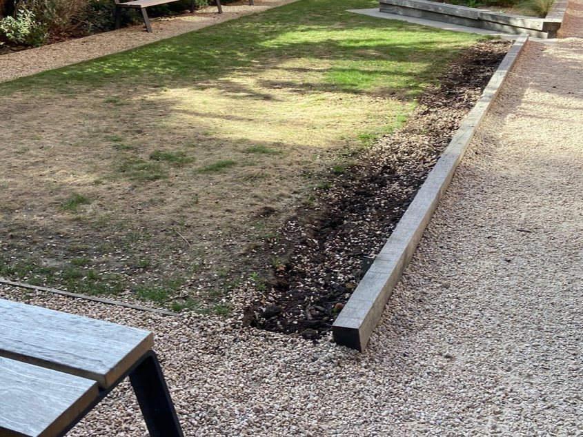 Lawn Edge: Cleared & Replanted (cleared)