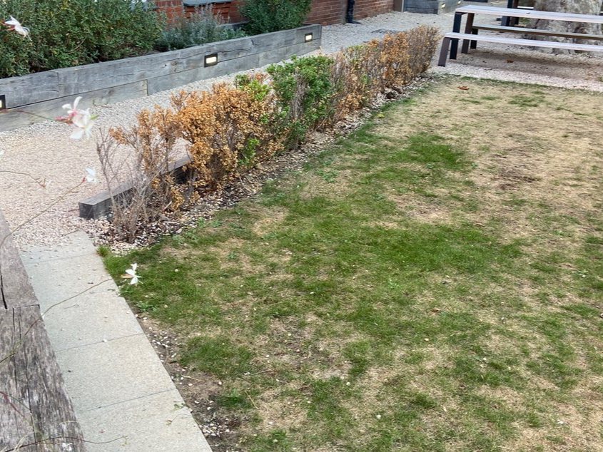 Main Path Border (before)