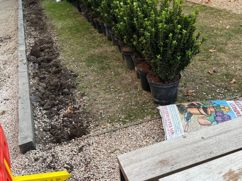 Old hedge removed and bed cleared, new stock delivered to site