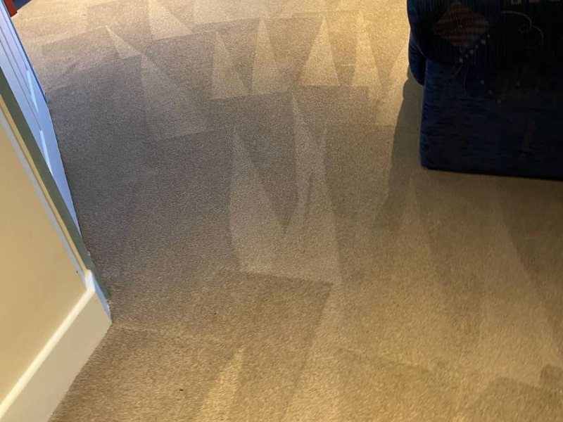 Resident room, the cleaning pattern shows the machine's pass across the carpet